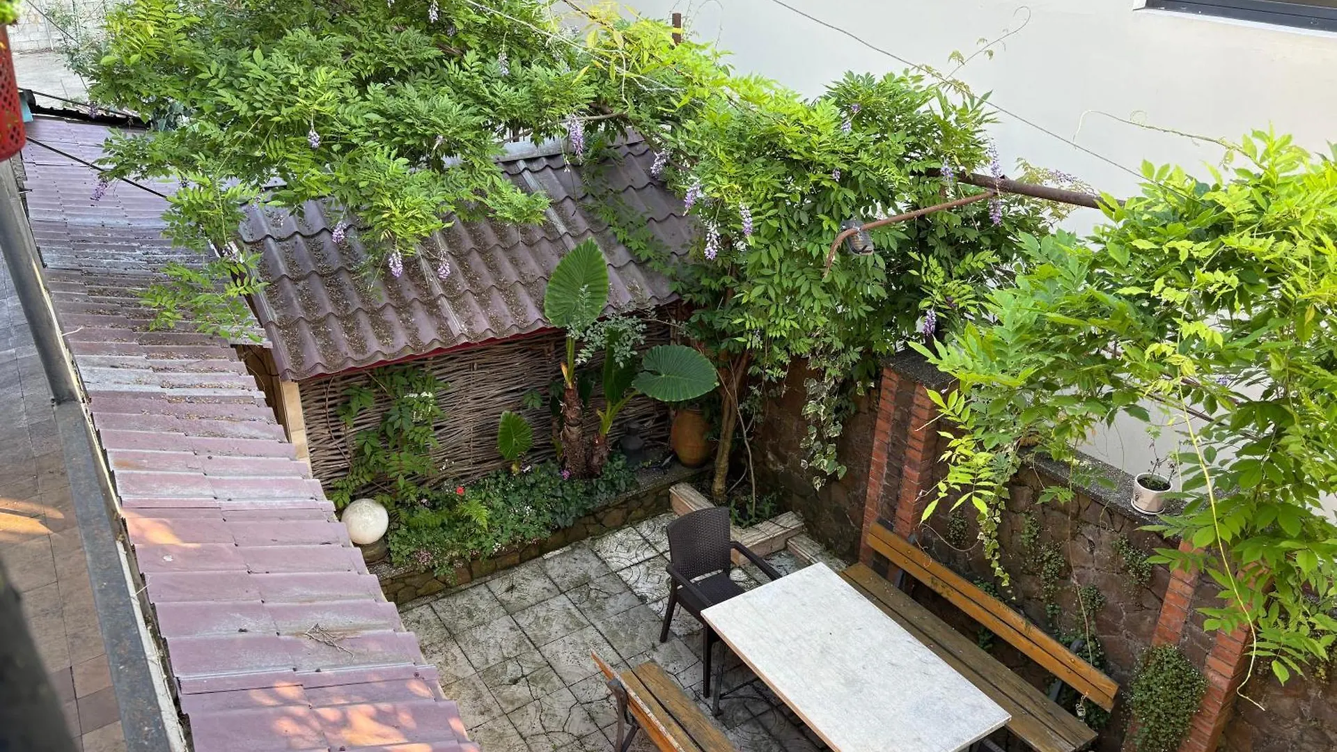 招待所 Green House In 巴统