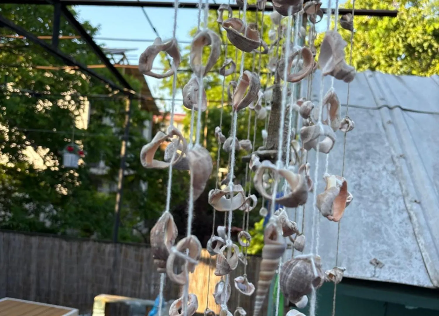 Green House In 巴统 格鲁吉亚
